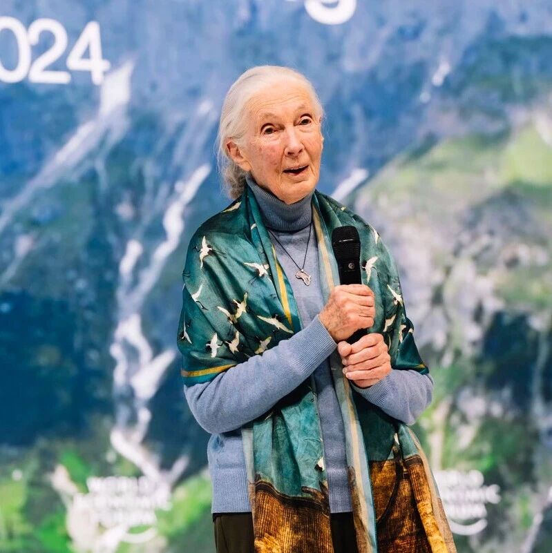 Jane Goodall: Saving the Earth Requires Hope, Inspiration, and Action