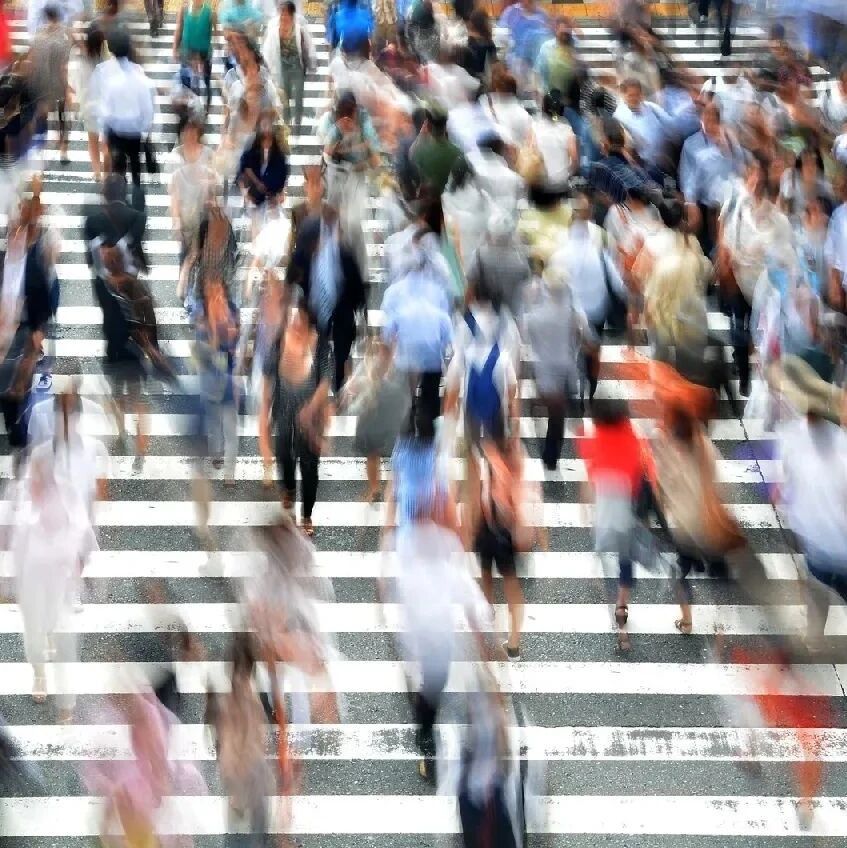 Every minute, 13 people worldwide die due to air pollution—how should cities respond?