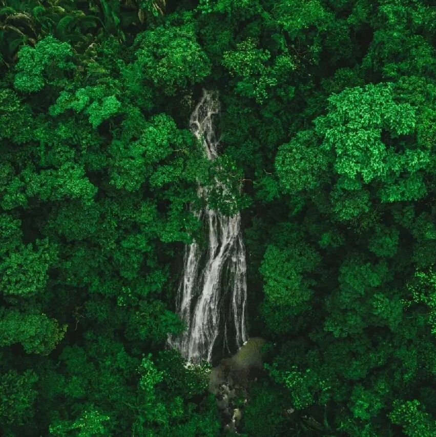 The future of Earth is in our hands—inspiring private investment reallocation is crucial.