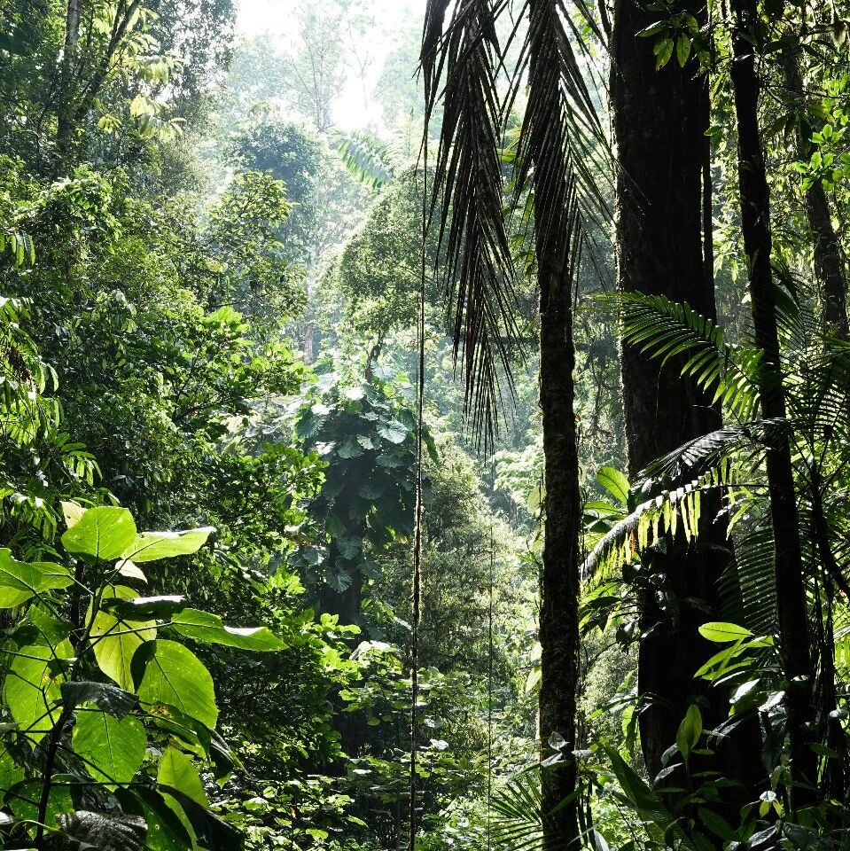 International Day for Biological Diversity: What is the role of China’s key economic sectors in the global transition toward nature-positive outcomes?