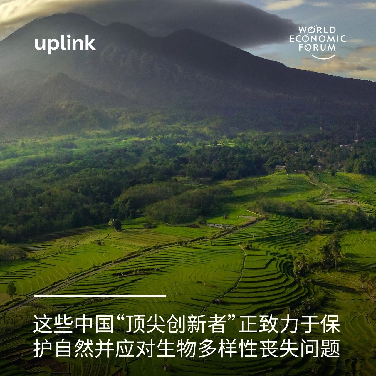 2024 Summer Davos | China's "Top Innovators"