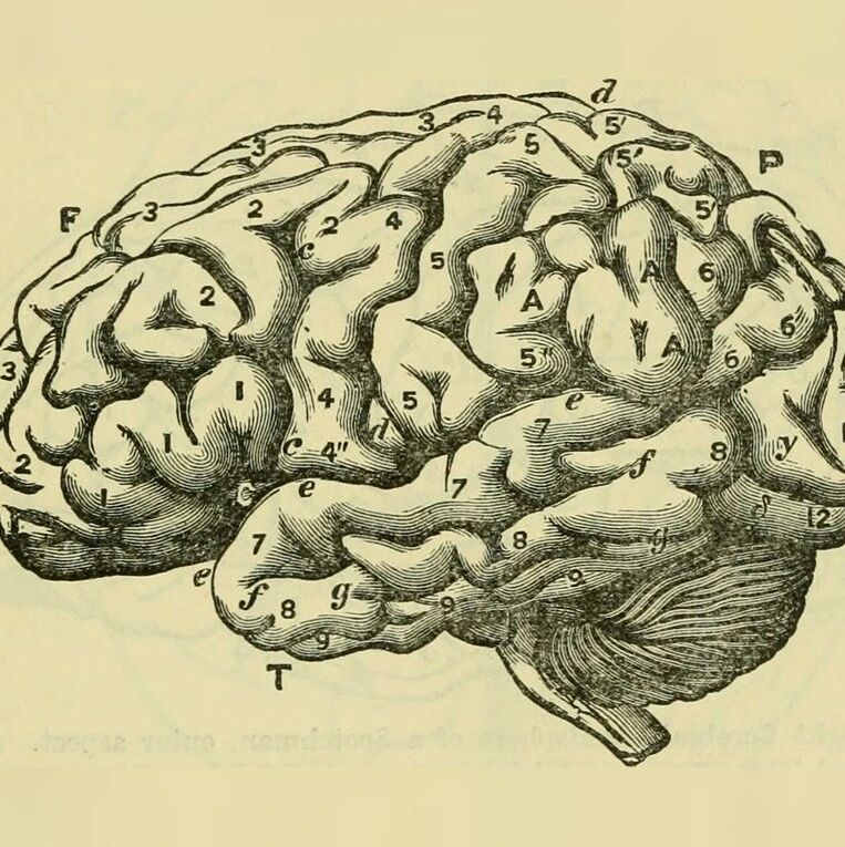 What is neurodiversity in the workplace, and how does it drive companies toward success?