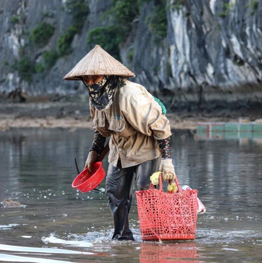 How the informal economy can play a critical role in driving sustainable growth in emerging markets