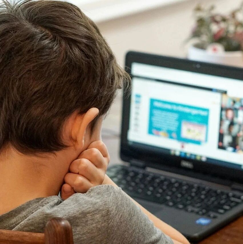The younger generation needs critical thinking, fact-checking, and media verification to ensure online safety.
