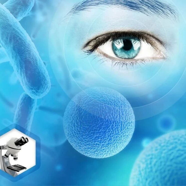 The medical AI sector has already attracted billions of dollars in investment—but how effective has it been?