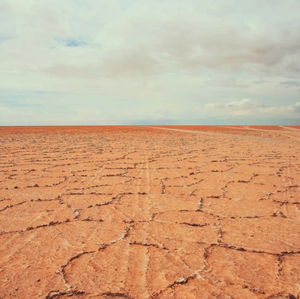 Each year, about 12 million hectares of land become desertified—so how can we promote the development of regenerative agriculture to enhance climate resilience?