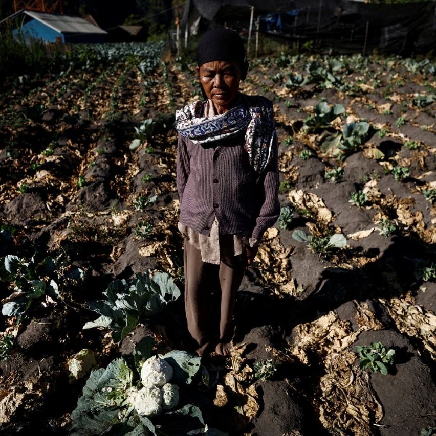 Why farmers must be prioritized for climate compensation