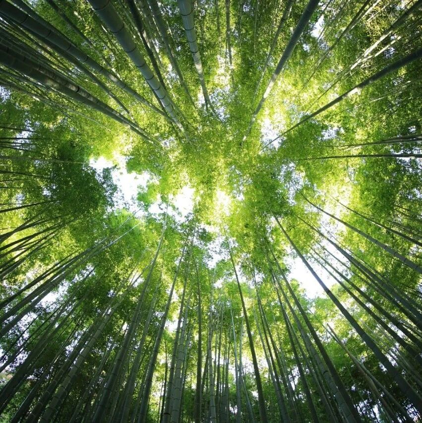 Circular economy drives "low-carbon growth" in the cosmetics industry