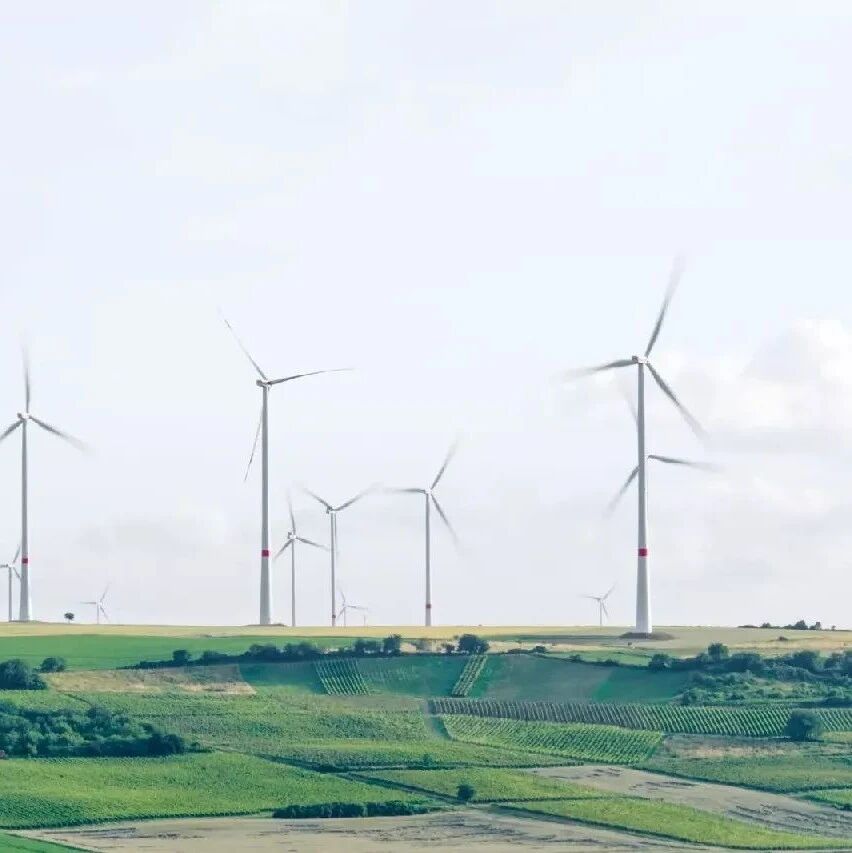 What are green bonds, and why is their market growing so rapidly?