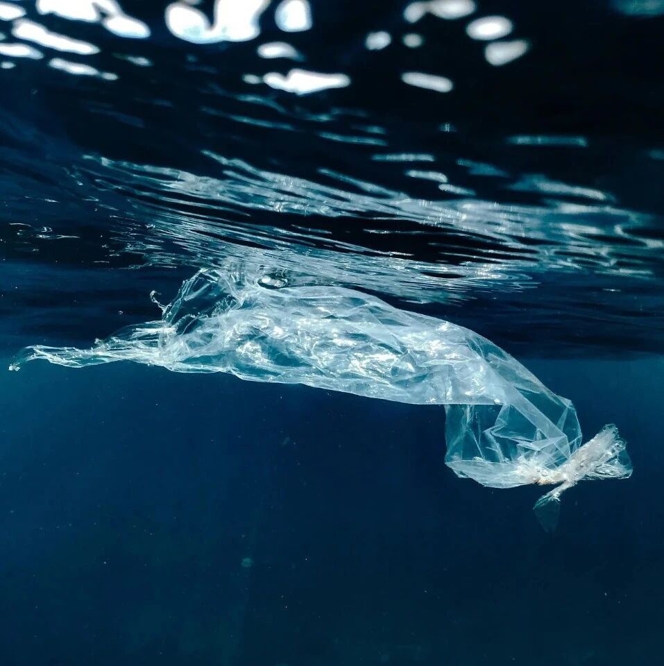How can charging a small fee for plastic bags lead to large-scale natural restoration?