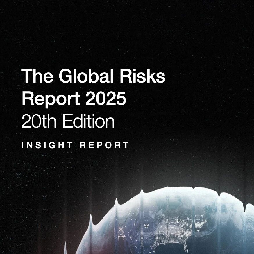 2025 Global Risk Report: Conflict, Environment, and Disinformation Are the Main Threats
