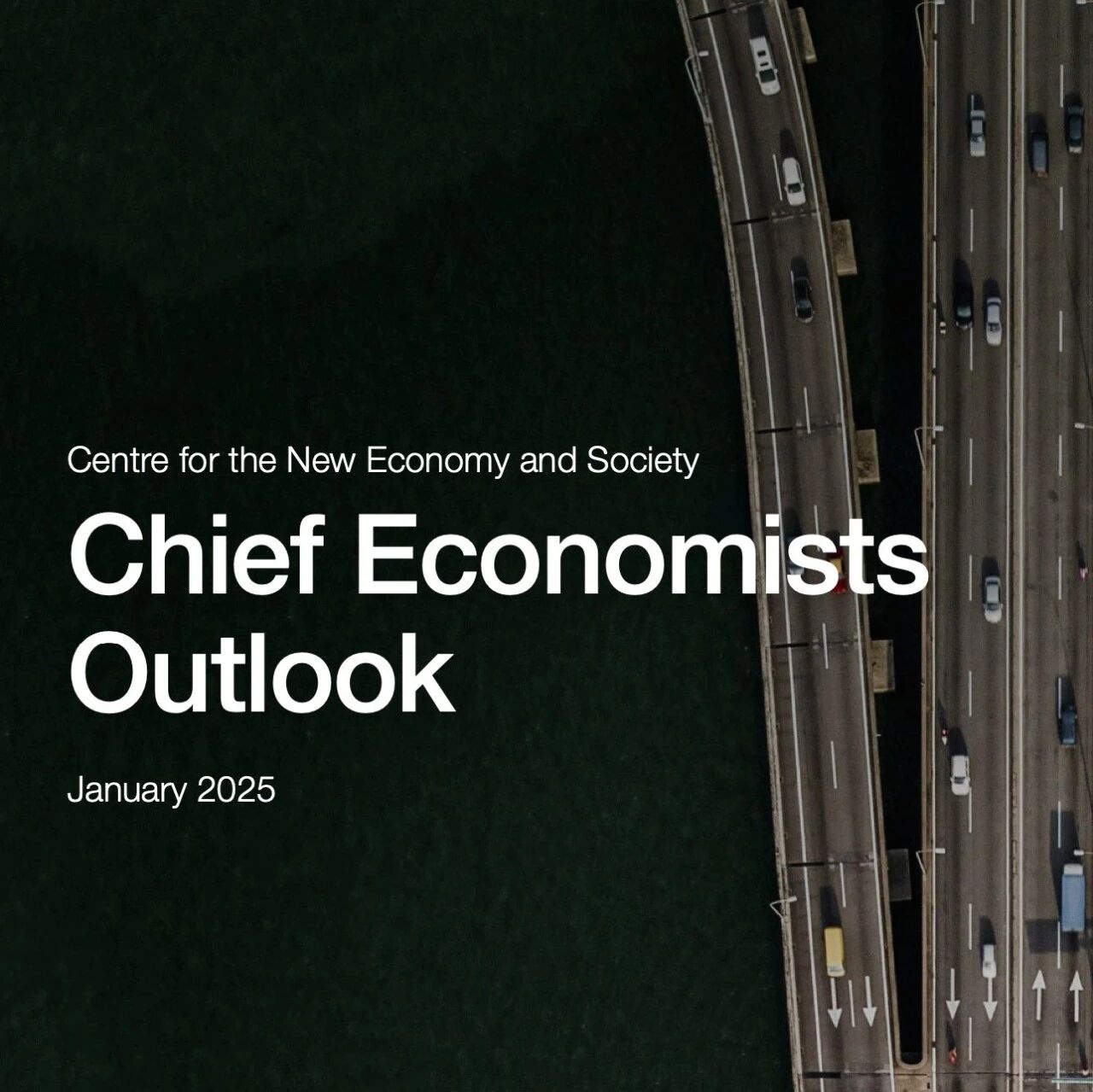 Differentiation, debt, and political uncertainty are weighing down the economic outlook for 2025.