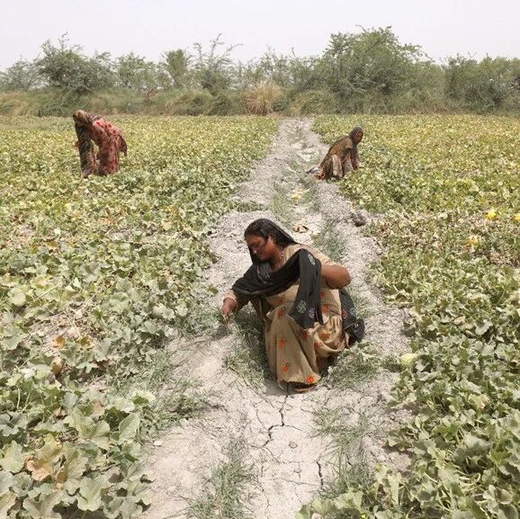 Gender-inclusive agricultural technology is on the rise, empowering female workers—who make up 43% of the agricultural workforce in developing countries.