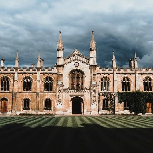 Why are universities still failing to fully realize their potential in addressing global crises?