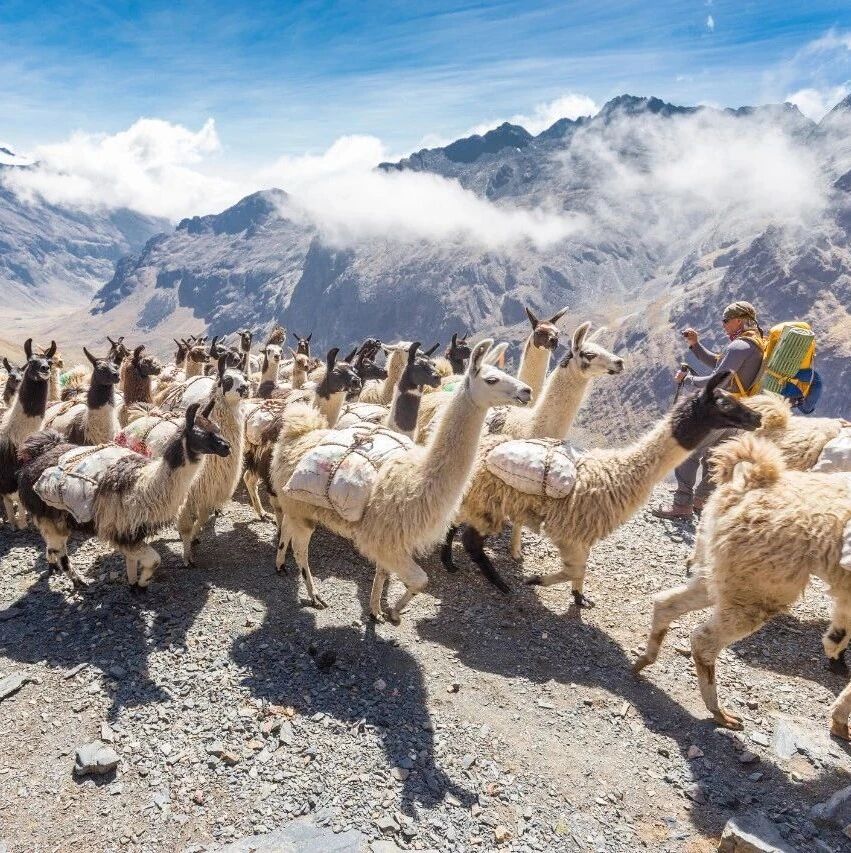 These seven misconceptions obscure the sustainable growth potential of the tourism industry.