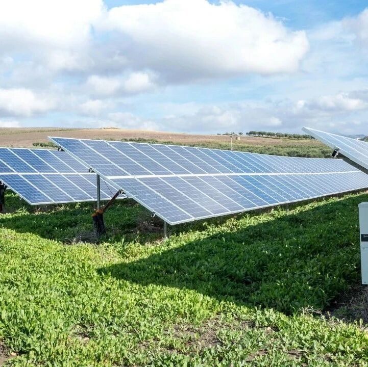 Four Key Trends Shaping Clean Energy Technology Development in 2025