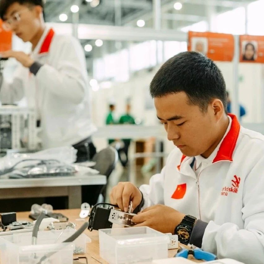 China's Future of Employment: The rise of technology and shifting demographics are creating a skills gap in the workforce.