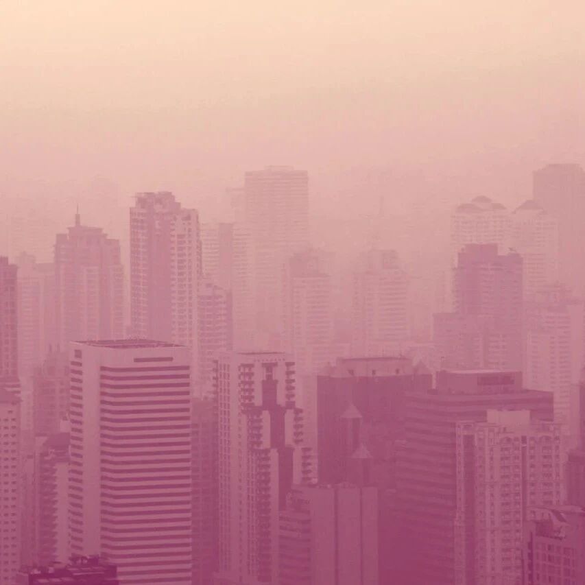 The Role of AI in Reducing Urban Pollution