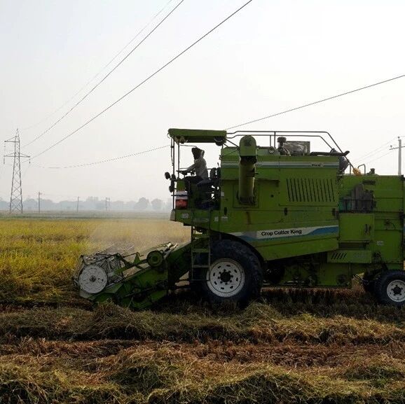 The world needs a new food revolution—how can we empower farmers to drive this transformative change?
