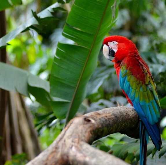 Why is biodiversity worth investing in? China is seeking the answer.