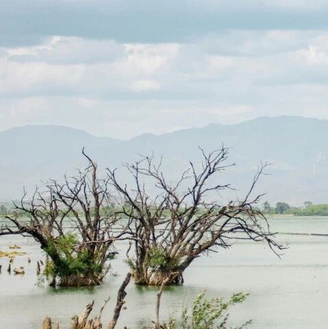 Boosting resilience is urgent: Why must businesses adapt to a world where temperatures rise by 1.5°C?