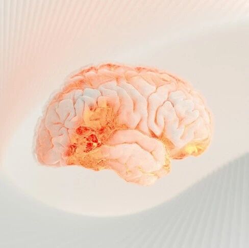 Eight Latest Breakthroughs in the Fight Against Alzheimer's Disease
