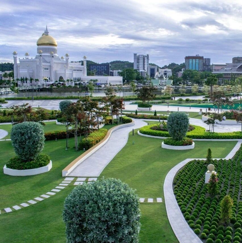 Brunei's BruHealth: Shaping the Future of Digital Health