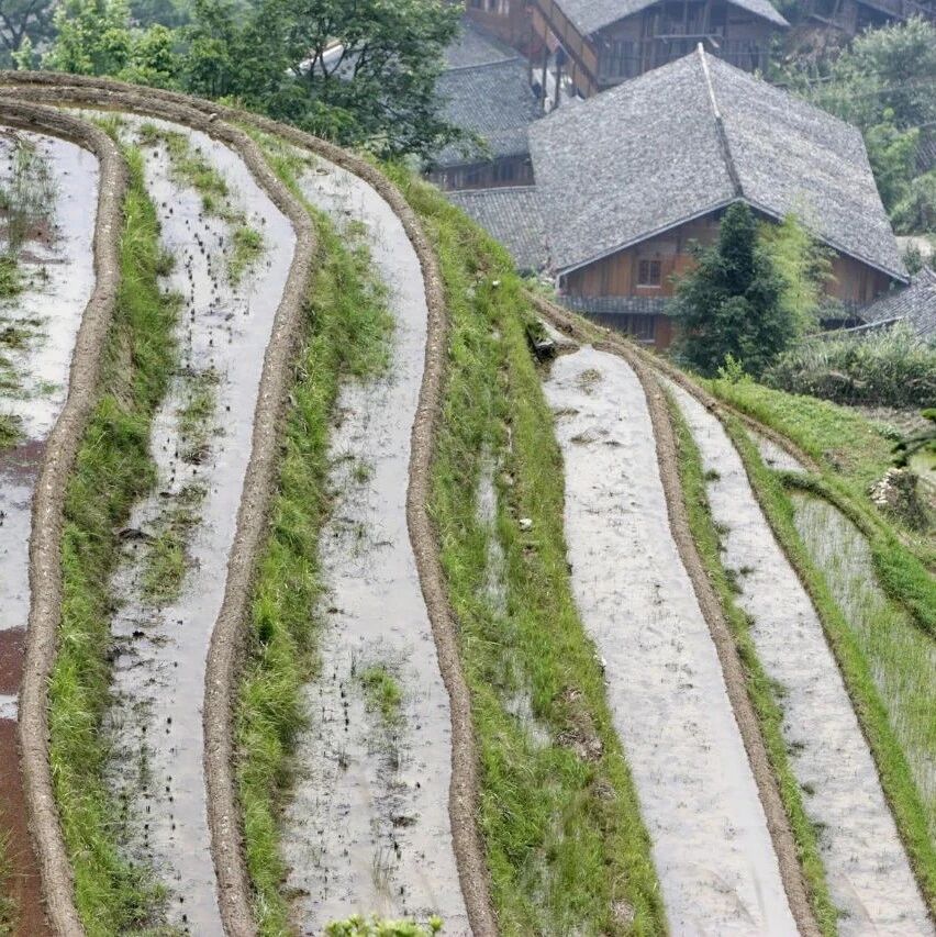 In an era of climate change, China is reshaping the global food system.