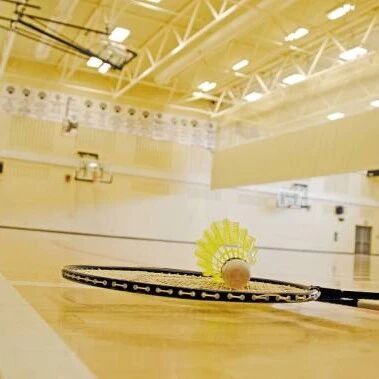 These are all excuses for not playing badminton!