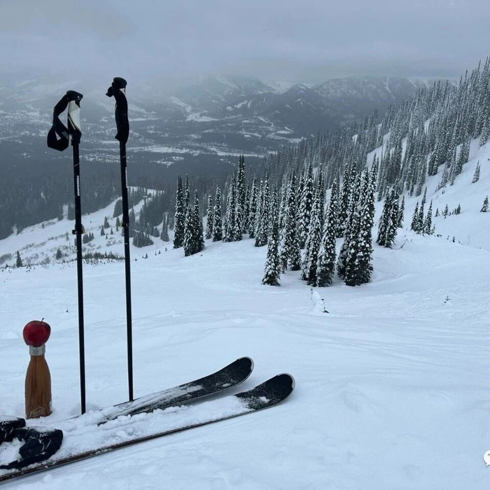 A Skiing Diary of Canada's Ski Resorts: Nakiska, Lake Louise, Panorama, and Fernie