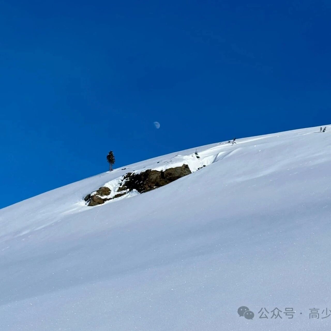 Skiing Diary: Another Beginner Snowboarding Session in Early 2025