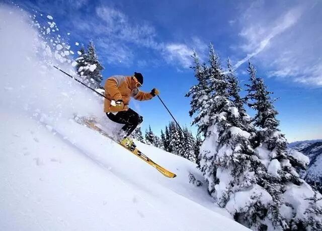 [Just for You] Do you really know which ski resort is right for you?
