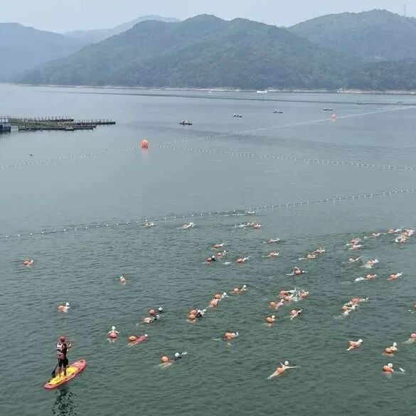 China·Huating Lake International Open Water Swimming Race Honored as One of the "Top 10 Brand Events in the Yangtze River Delta"