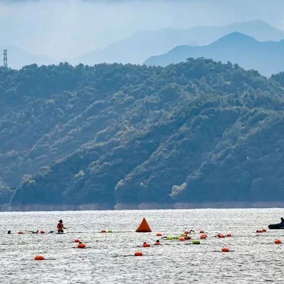 Notice on Hosting the 2025 National Open Water Swimming Competition Organizing and Management Training Workshop