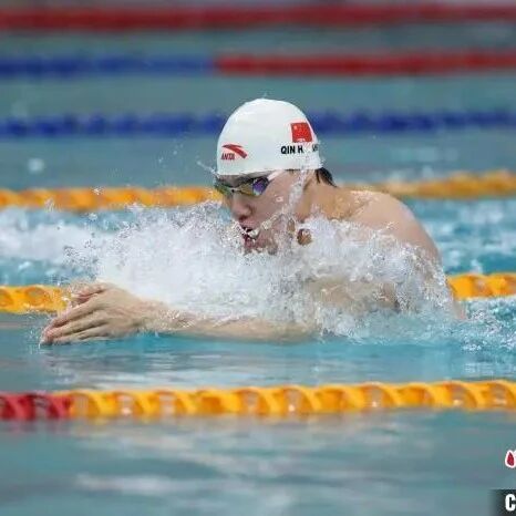 Results from the National Spring Swimming Championships on the 20th: Qin Haiyang and Yu Yiting win the gold medals.
