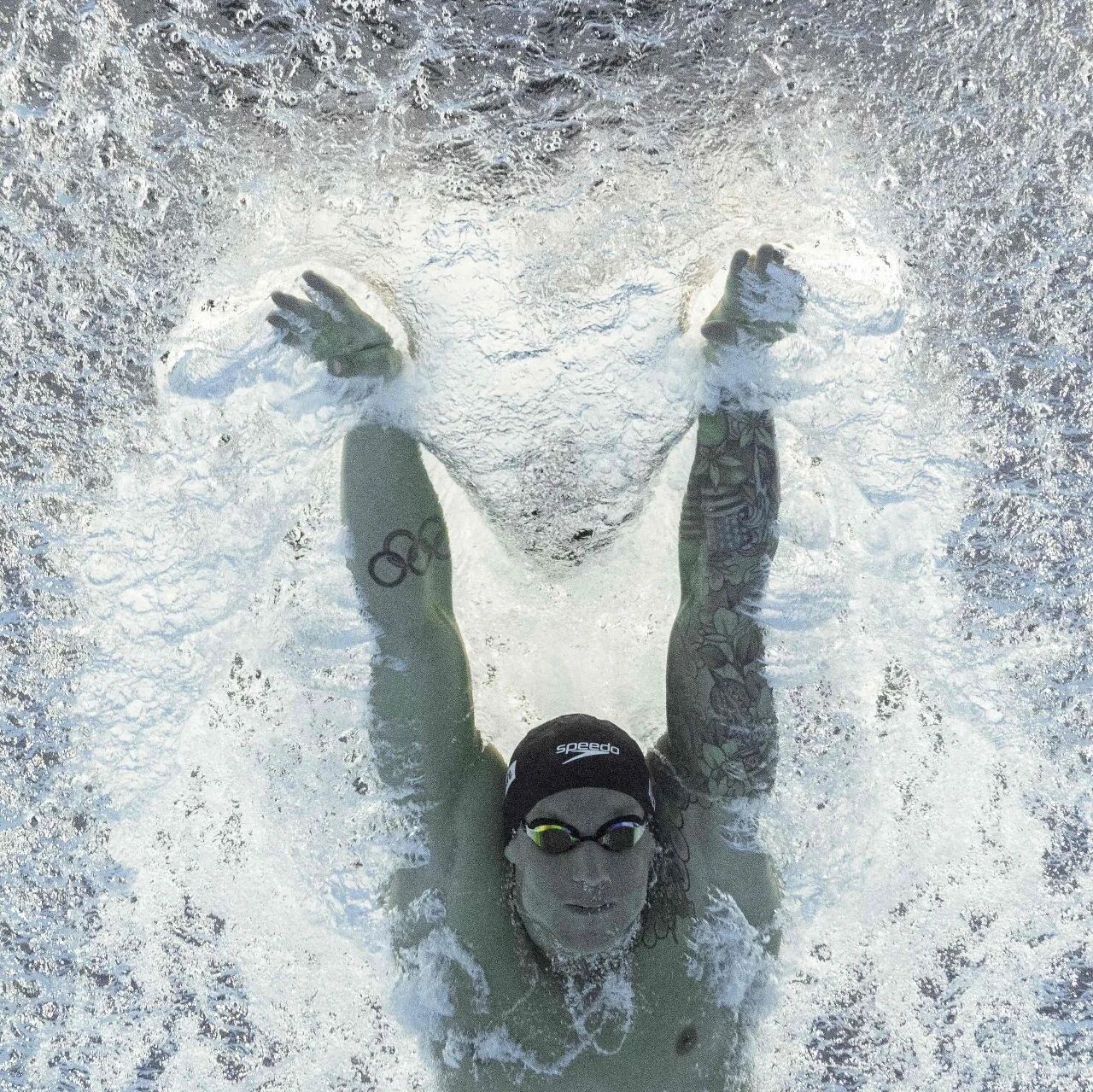 Notice from the Swimming Center of the General Administration of Sport on Publicly Soliciting Bidding Entities to Host the 2026 Asian Events