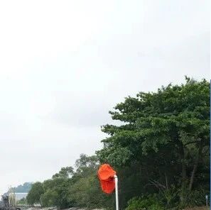 Water quality fails to meet standards; World Aquatics postpones the first day of the open-water events at the Singapore World Championships.