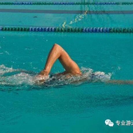 Focus on three key principles for your upper body—and quickly master the basics of freestyle swimming!