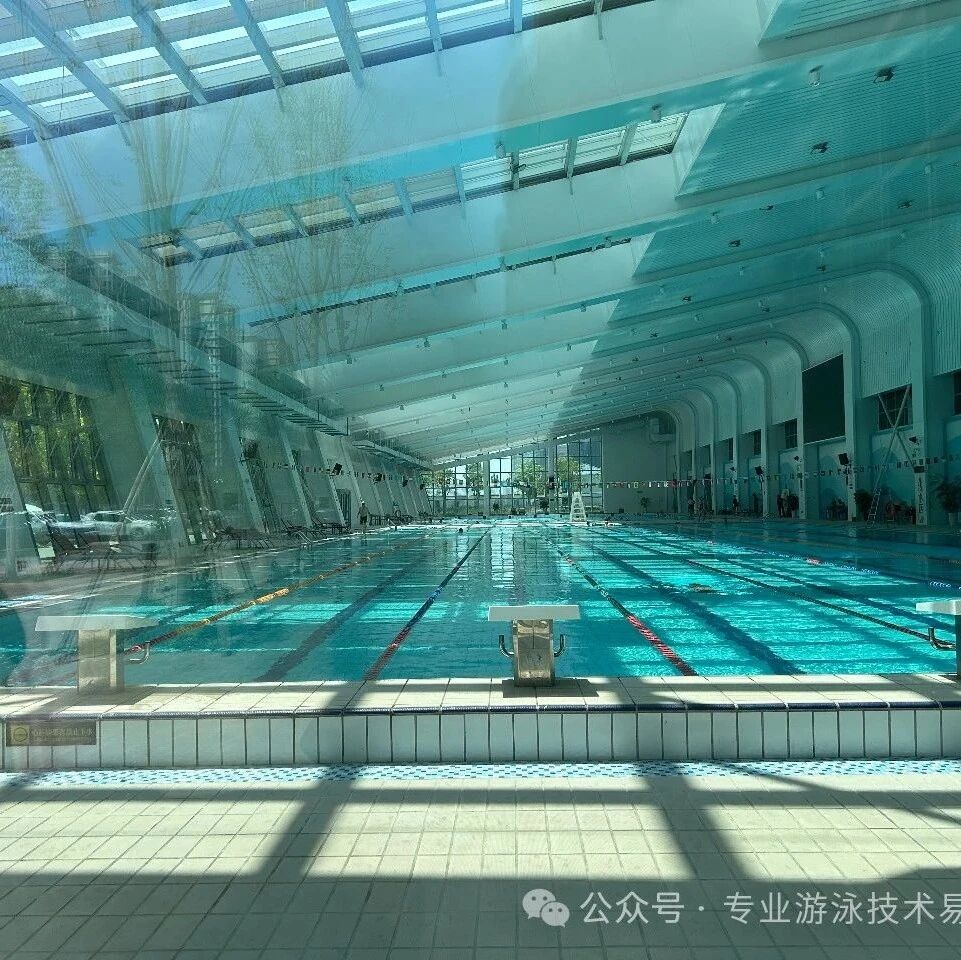 Counting down the frustrating and baffling behaviors in swimming pools
