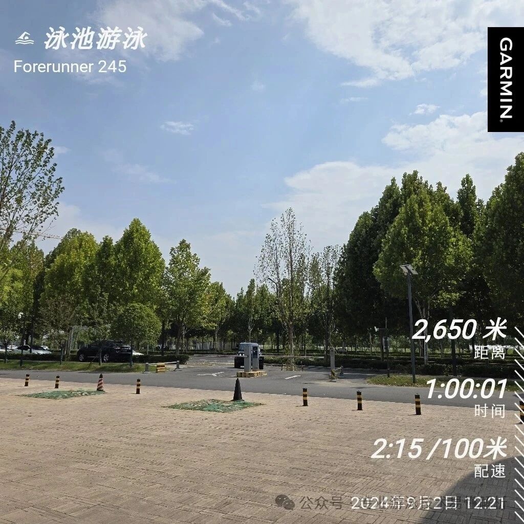 Finished a one-hour swim session at noon.