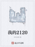 我的2120