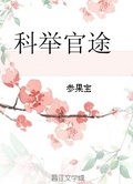 科舉官途