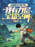 穿越60年代，我有九層寶塔空間