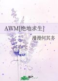 AWM[絕地求生]