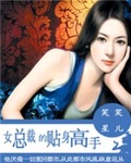 女總裁的貼身高手