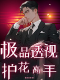 極品透視護花高手