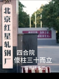 四合院傻柱三十而立