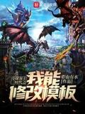 全球領主時代之我能修改模板