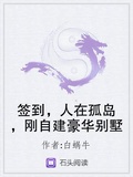 簽到，人在孤島，剛自建豪華別墅