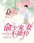 重生嬌妻：俞少寵妻不能停